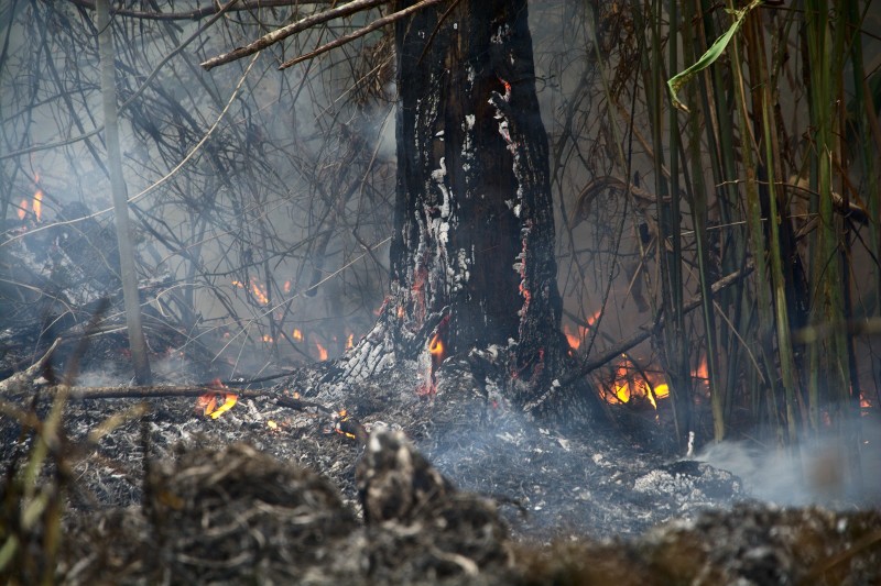 Floresta em chamas no Acre. Ao todo no Brasil, área devastada em 2019 foi 86% maior que no ano anterior (fonte: INPE). Foto: Douglas Freitas / Amigos da Terra Brasil