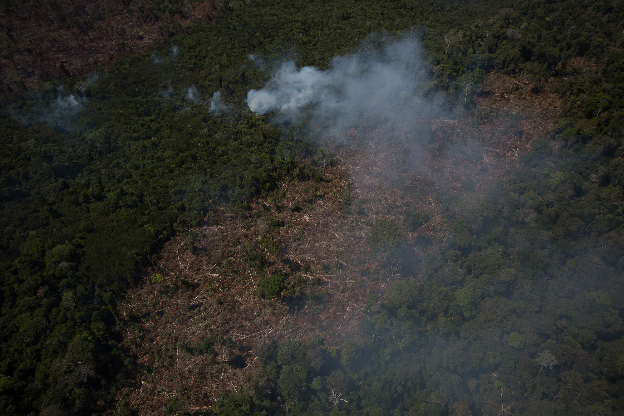 Registro das queimadas da Amazônia em agosto de 2020. / Foto: Bruno Kelly/Amazônia Real