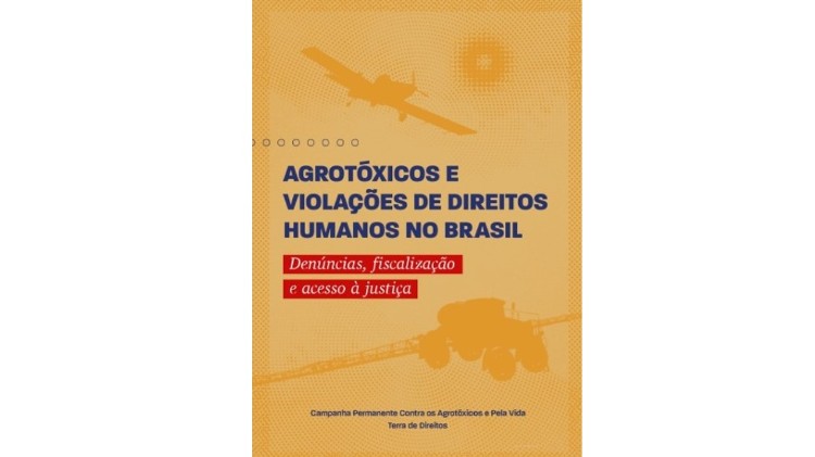 PDF) A Eficácia Nacional e Internacional dos Direitos Humanos