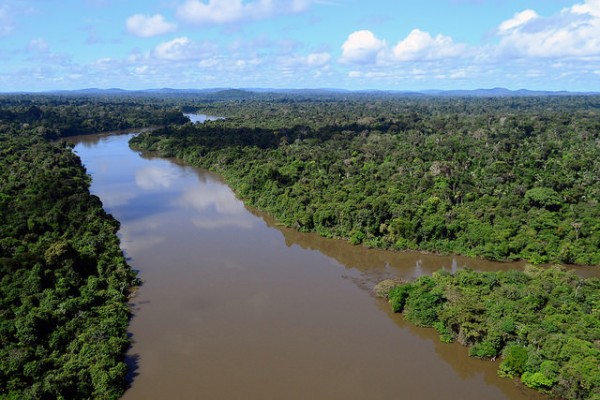 Rio Jamanxim, no oeste do Pará: áreas protegidas podem ser alteradas pelo governo / Foto / Divulgação