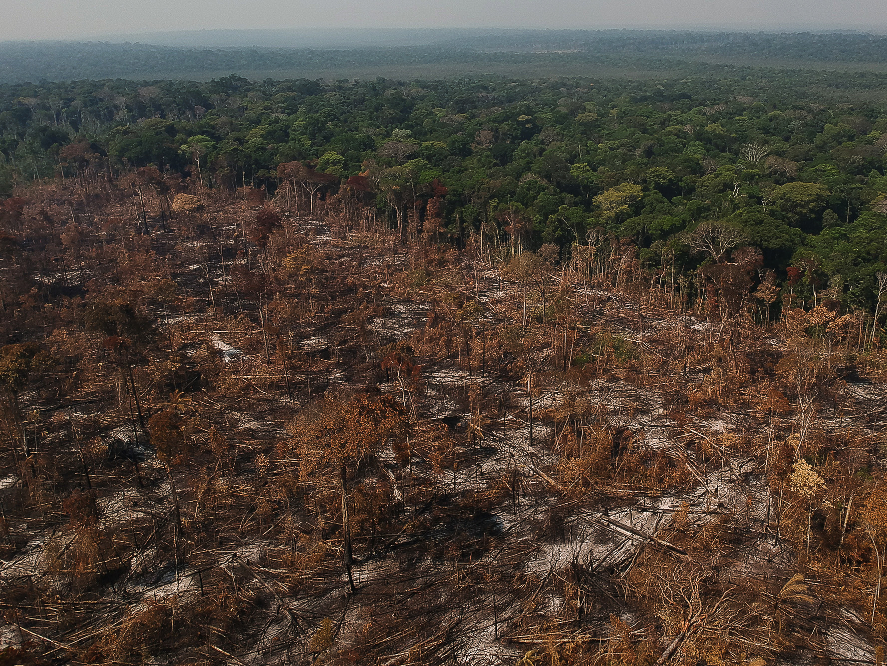 Foto: Bruno Kelly/Amazônia Real