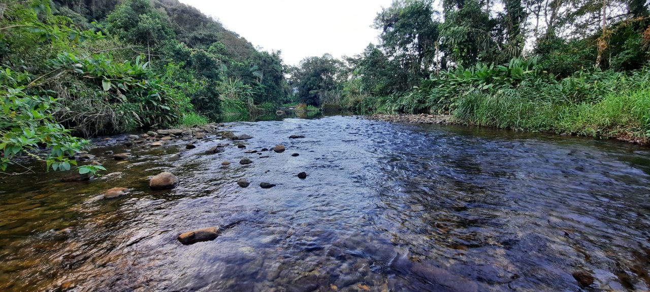 Com a recuperação da mata ciliar a comunidade conseguiu que o Rio Pequeno retornasse o curso d'água original. Foto: Valmir Fernandes