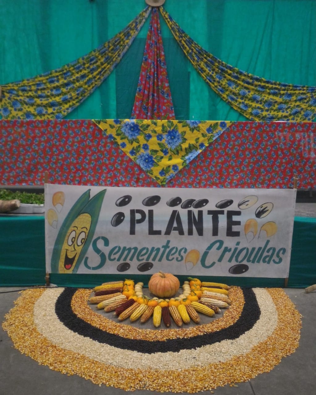 Festa das sementes de 2017 em Teixeira Soares (PR) 