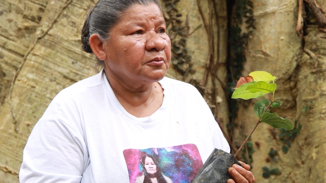 Foto: Teia dos Povos