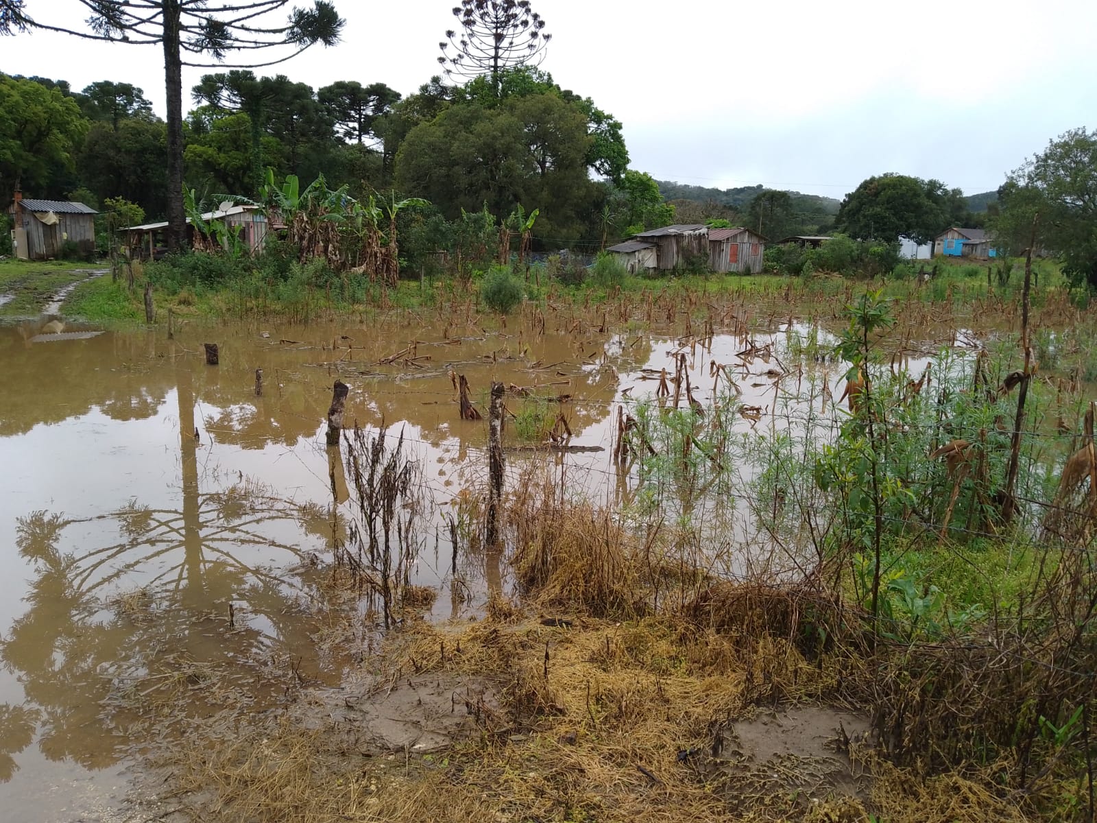 A forte chuva afetou as plantações das comunidades. Foto: Comunidades quilombolas