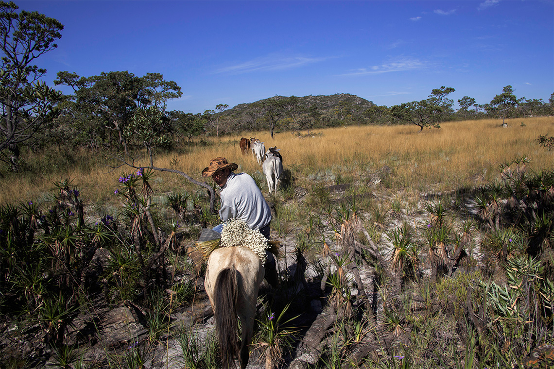 Foto: Valda Noguiera/ Codecex