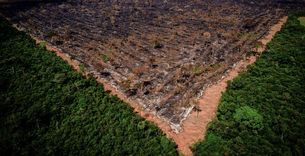 Registro de desmatamento na Amazônia. Foto: Ibama 