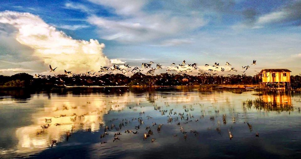 Lago do Maicá reúne ampla diversidade de espécies. Foto: Nilson Vieira