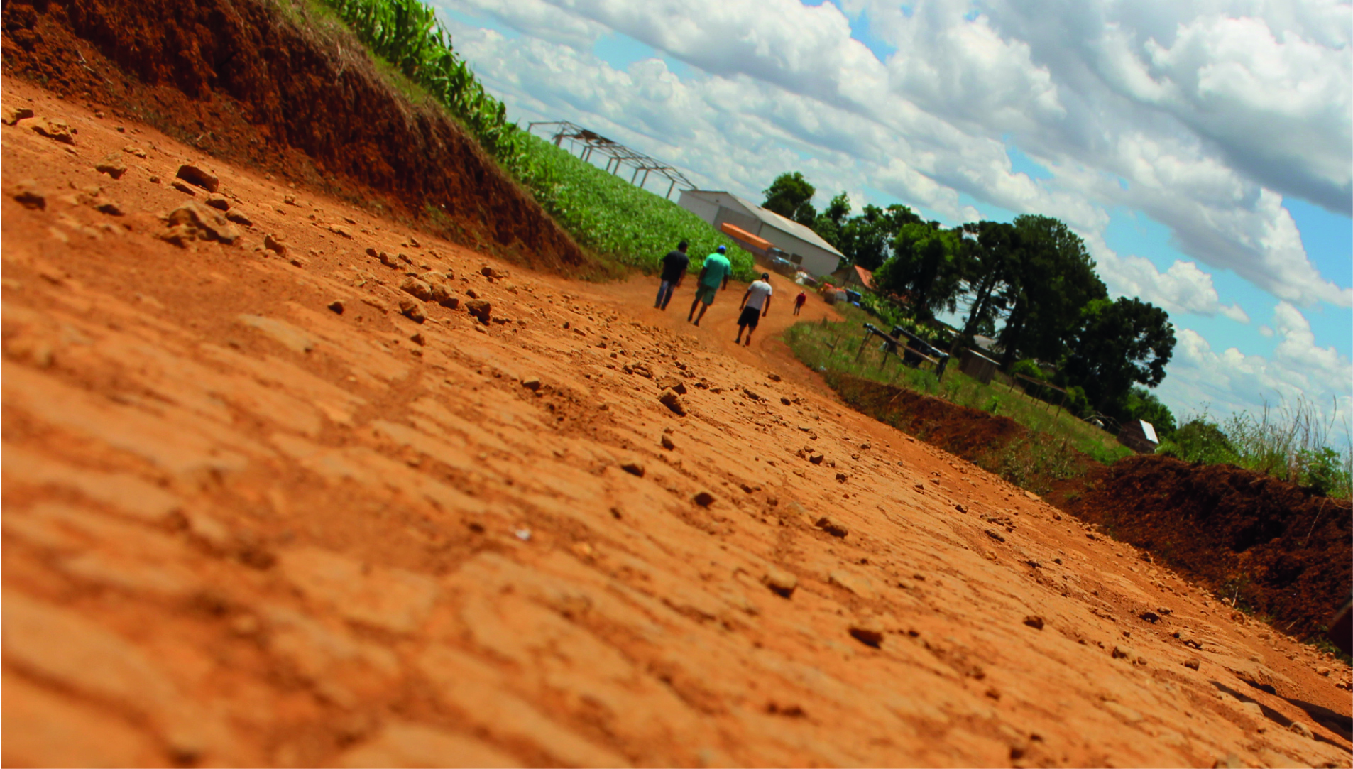 A terra da Comunidade Quilombola Paiol de Telha conta a história de luta de gerações. Foto: Lizely Borges